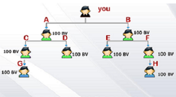 Repurchase Binary Plan